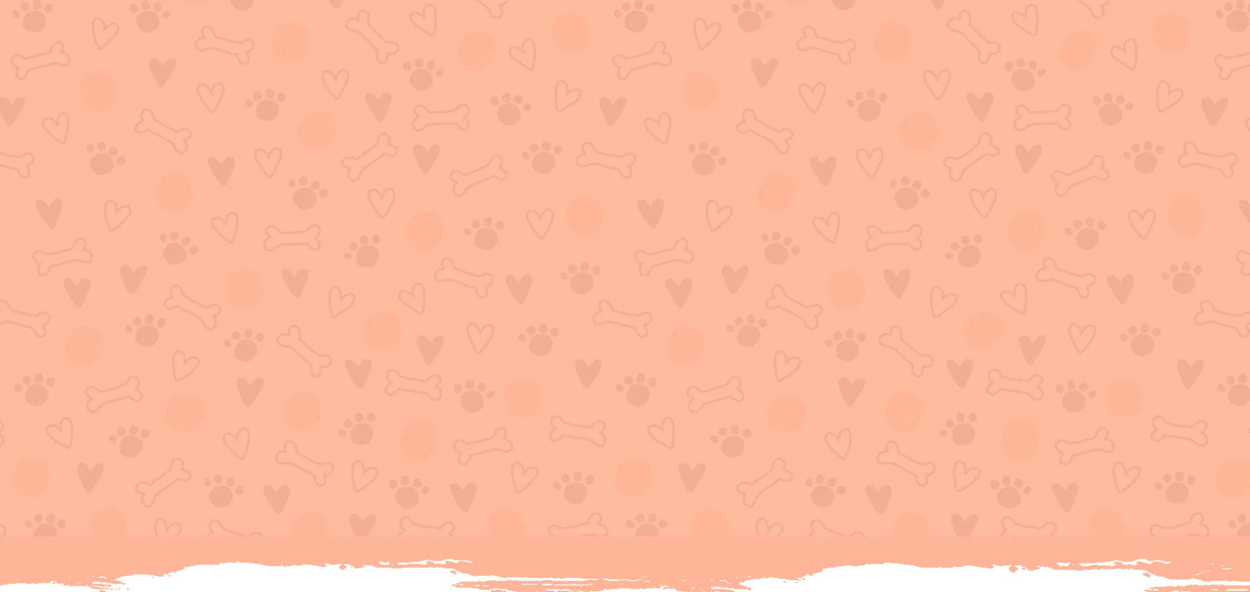 Unleash Your Dog's Full Potential