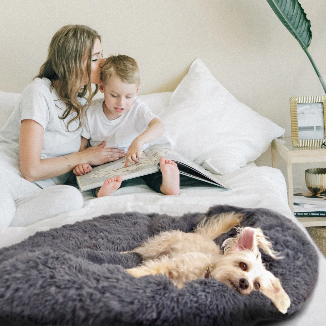 Calming Couch Bed | Calming Dog Bed - Image 3
