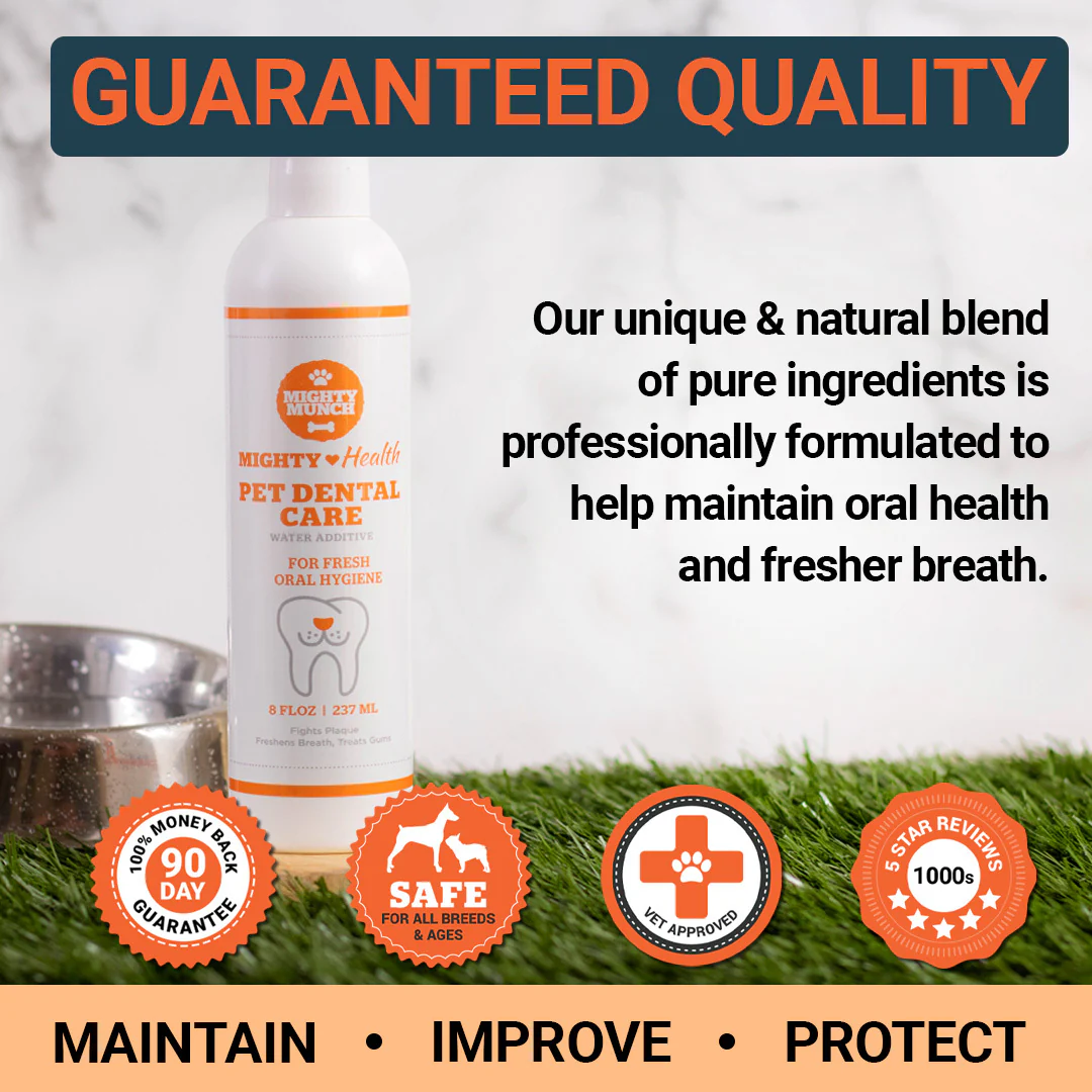 Dental Care - Image 4