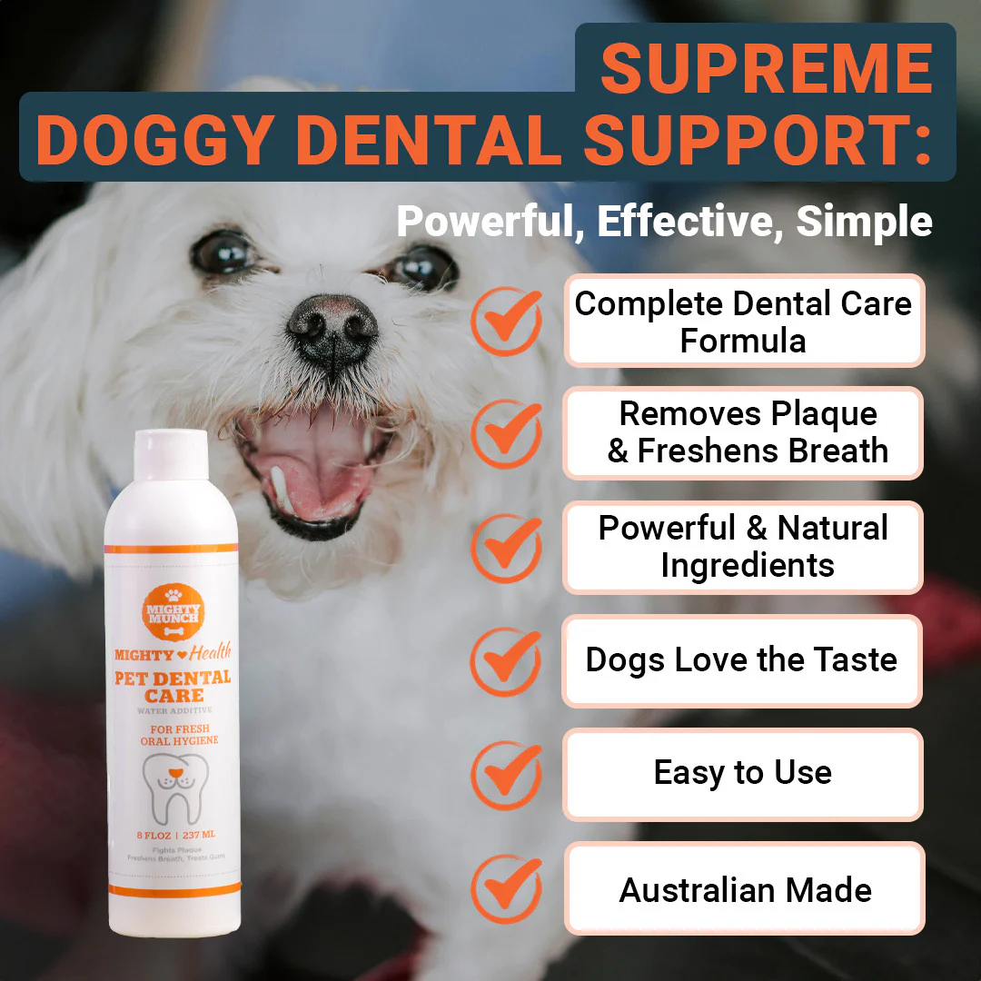 Dental Care (NZ) - Image 4