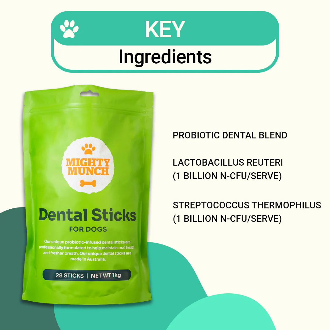 Dental Sticks - Image 3