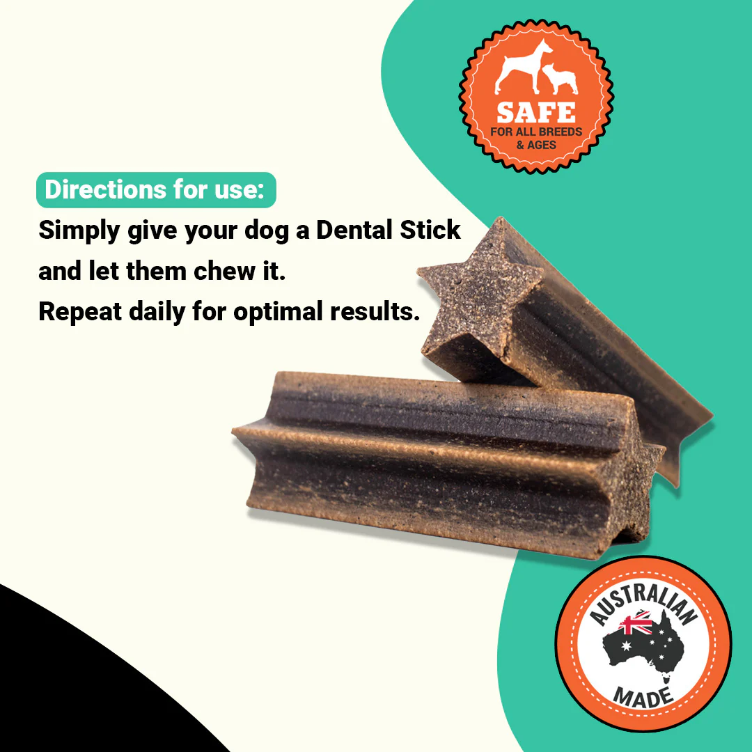 Dental Sticks - Image 4