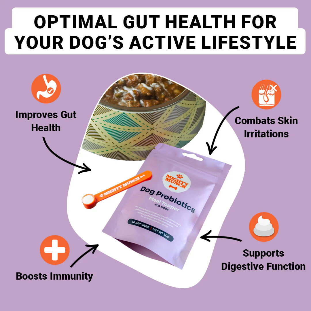 Dog Probiotics - Image 10