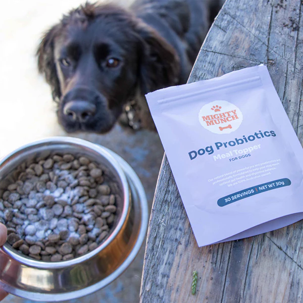 Dog Probiotics - Image 12