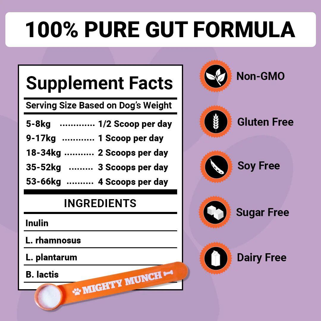 Dog Probiotics - Image 4