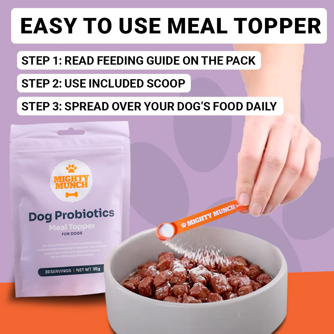 Dog Probiotics - Image 6