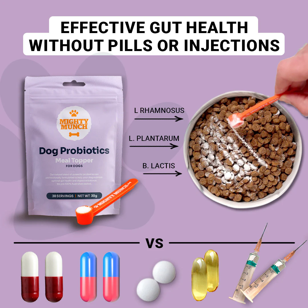 Dog Probiotics - Image 7