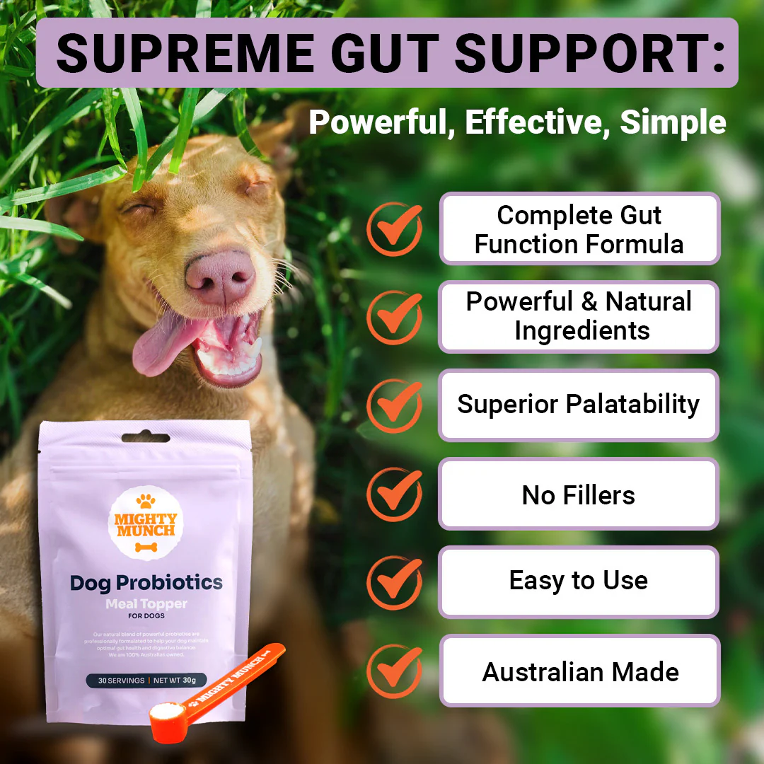 Dog Probiotics - Image 8