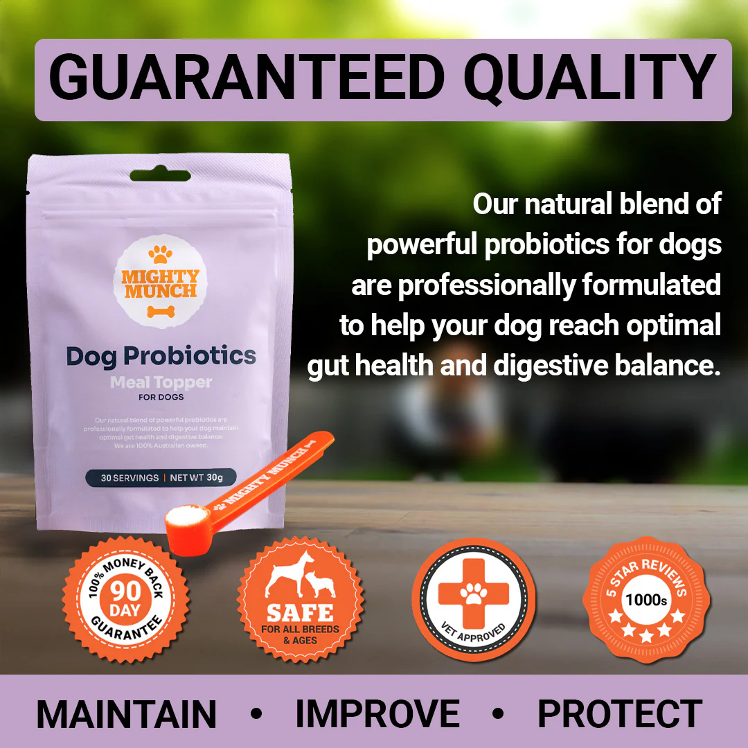 Dog Probiotics - Image 9