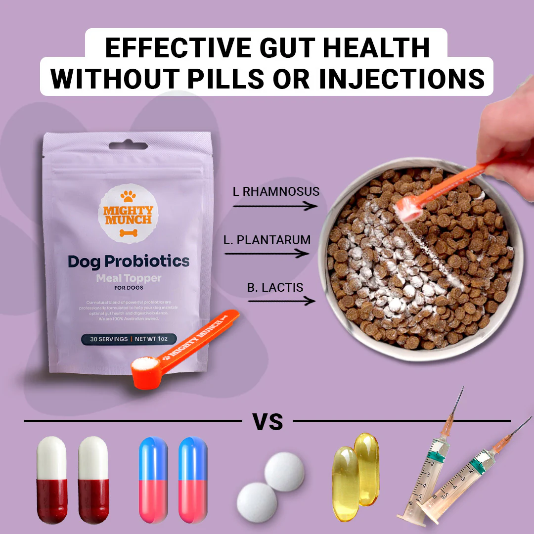 Dog Probiotics (US) - Image 11
