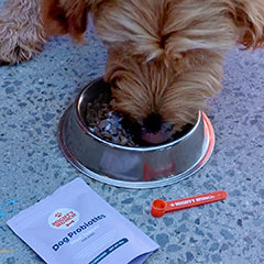 Dog Probiotics (US) - Image 12