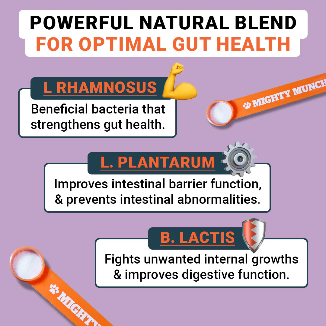 Dog Probiotics (US) - Image 2