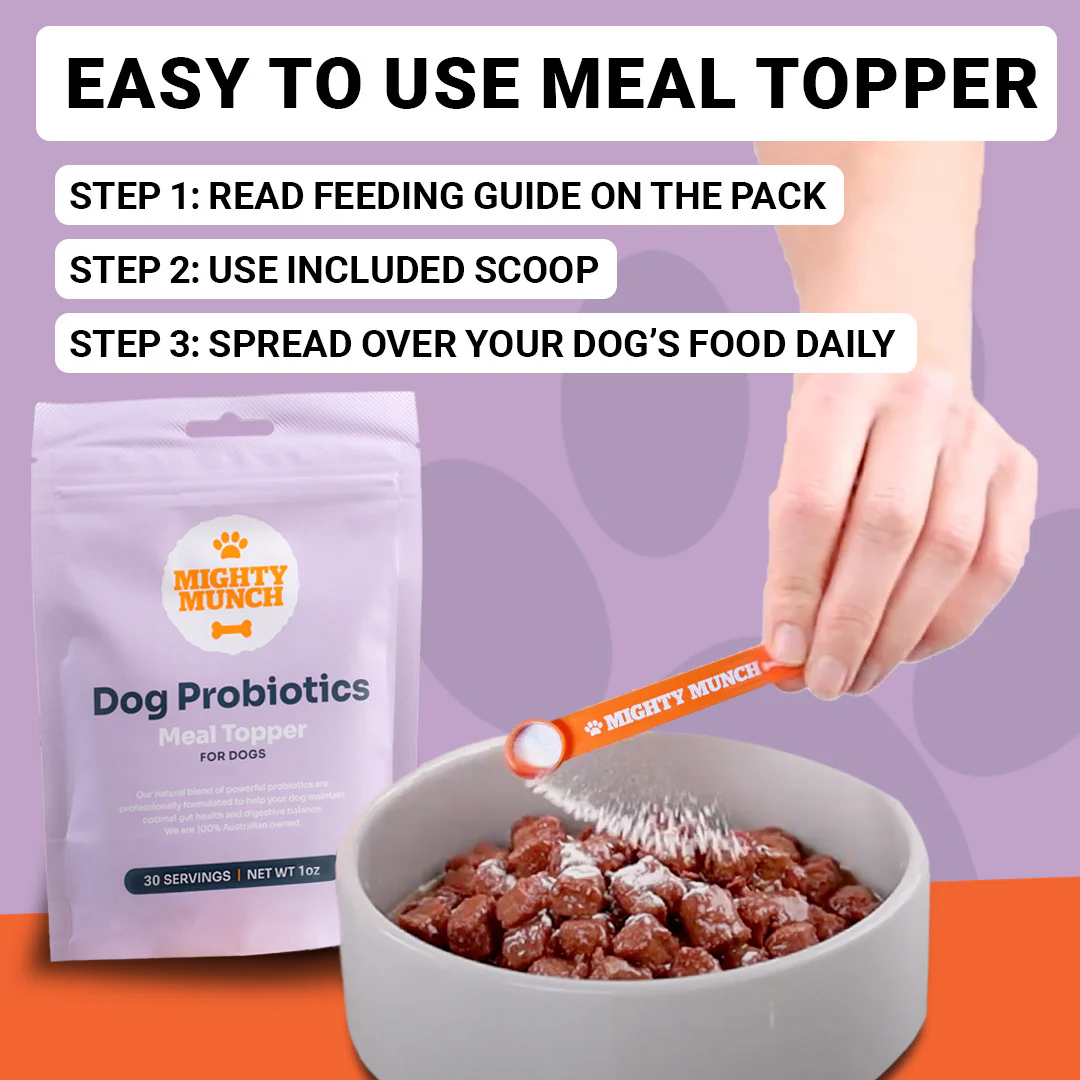 Dog Probiotics (US) - Image 7