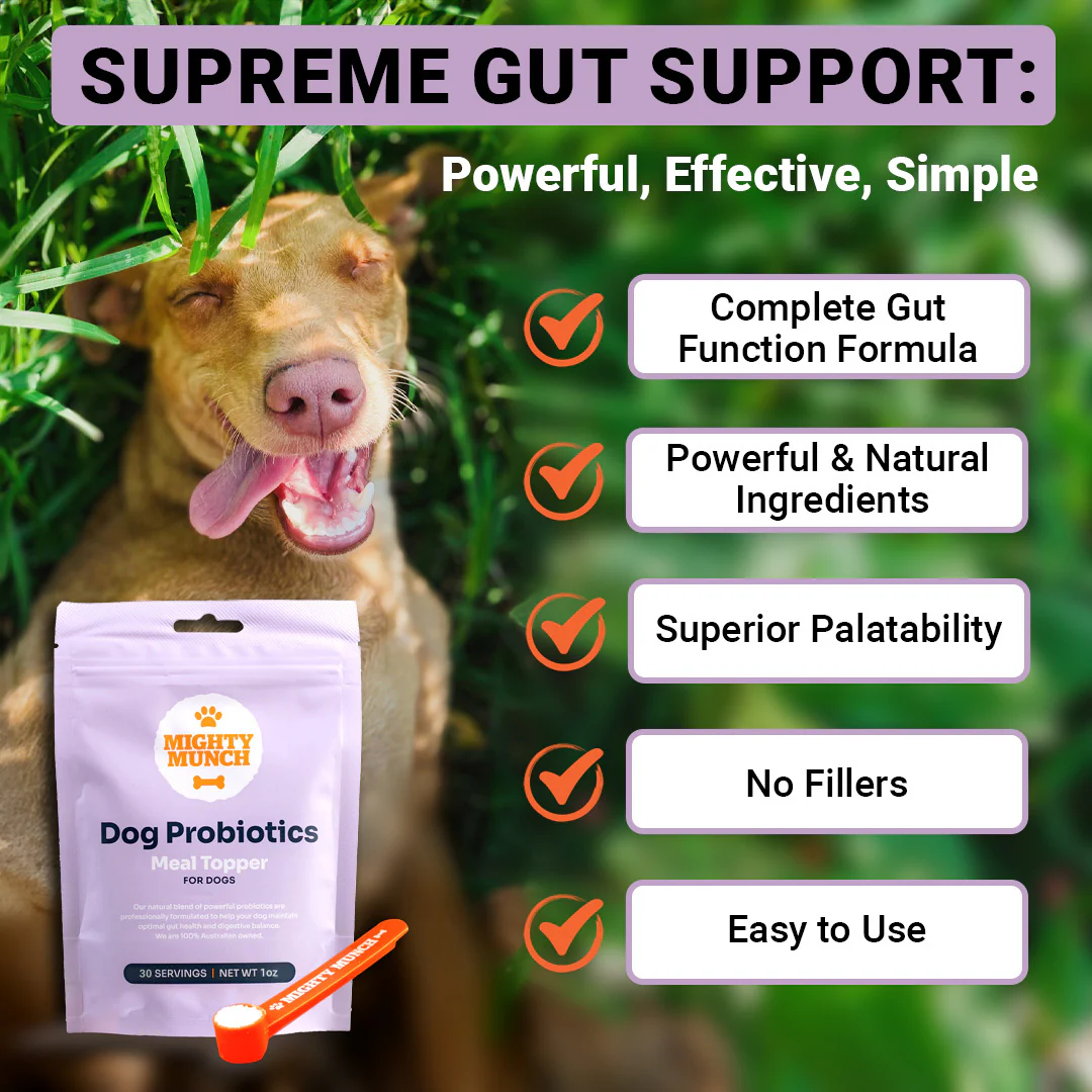 Dog Probiotics (US) - Image 9