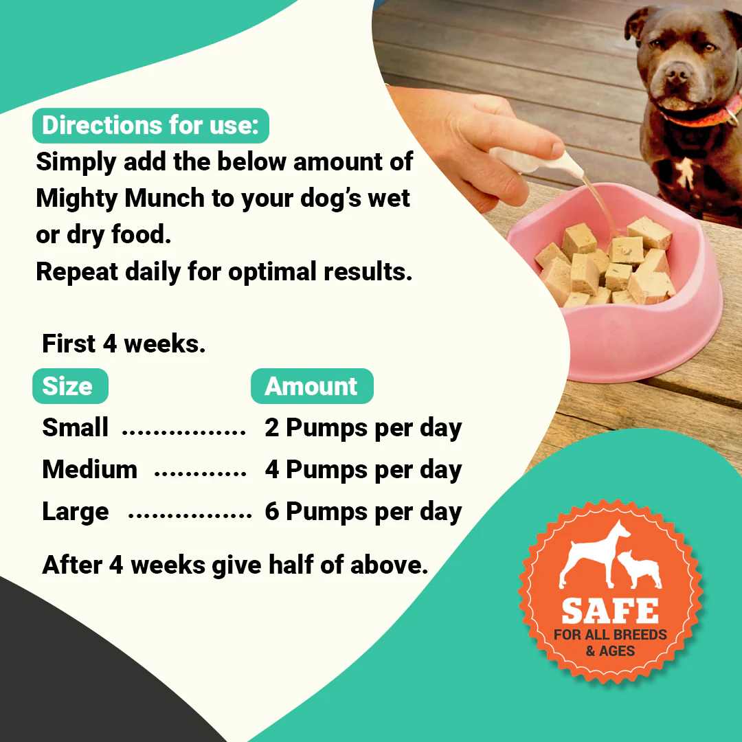 Fish Oil For Dogs - Image 3