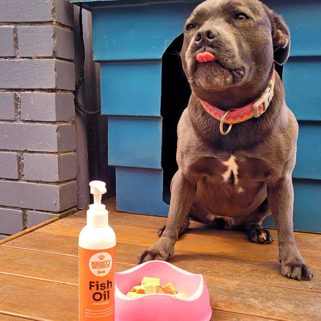 Fish Oil For Dogs - Image 4