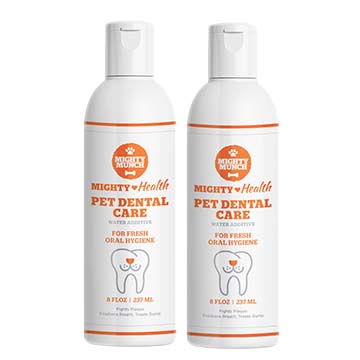 Dental Care (Promo) - Image 4