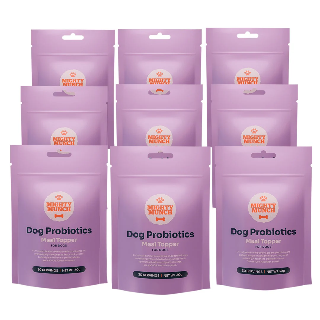 Dog Probiotics (Promo) NZ - Image 3